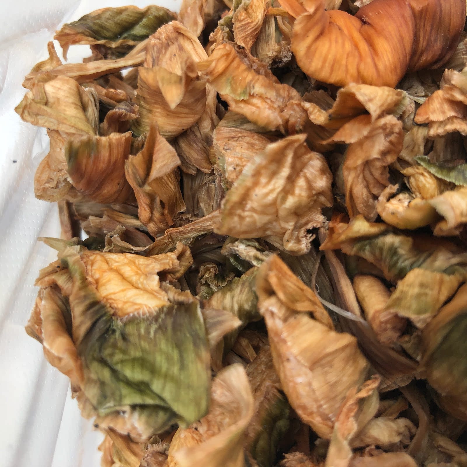 芋荷芋苗桂林土特产梗干芋杆白芋苗干货农家自制脱水蔬菜