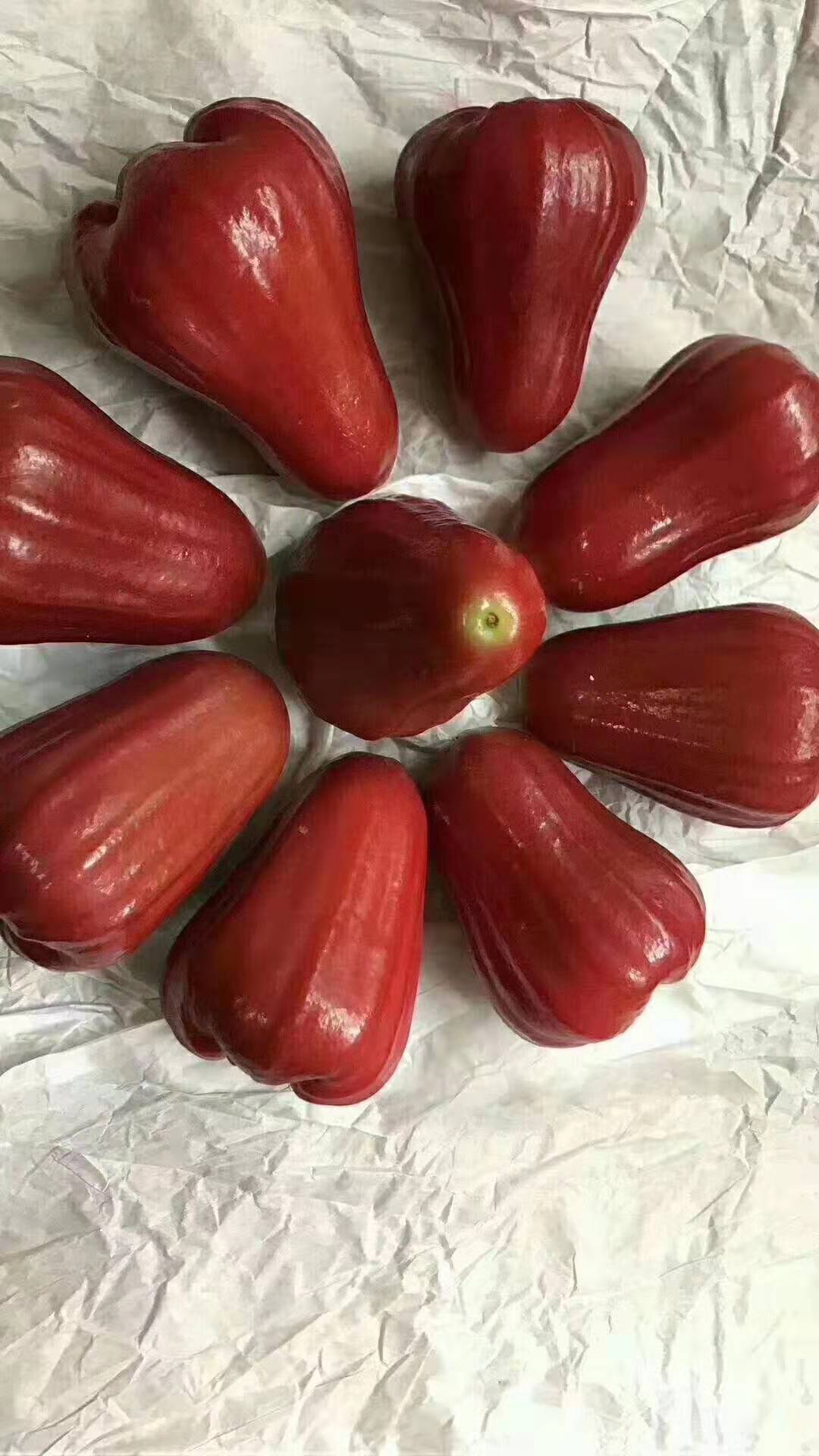 泰国黑金刚莲雾5斤应当季孕妇新鲜水果带箱热带雾莲果海南特产