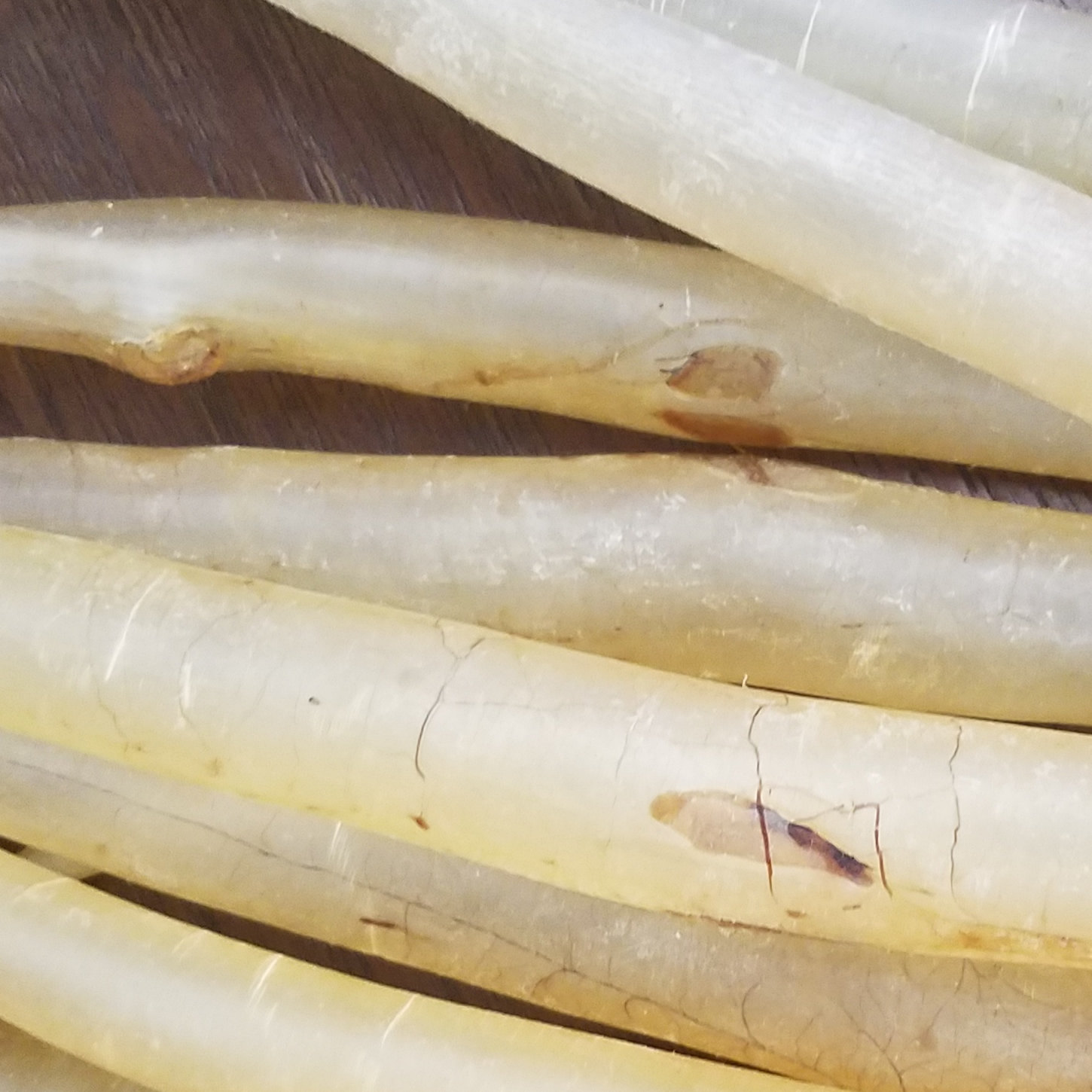 鳗鱼鱼胶一斤50头新加坡野生鱼肚深海海花孕妇花胶