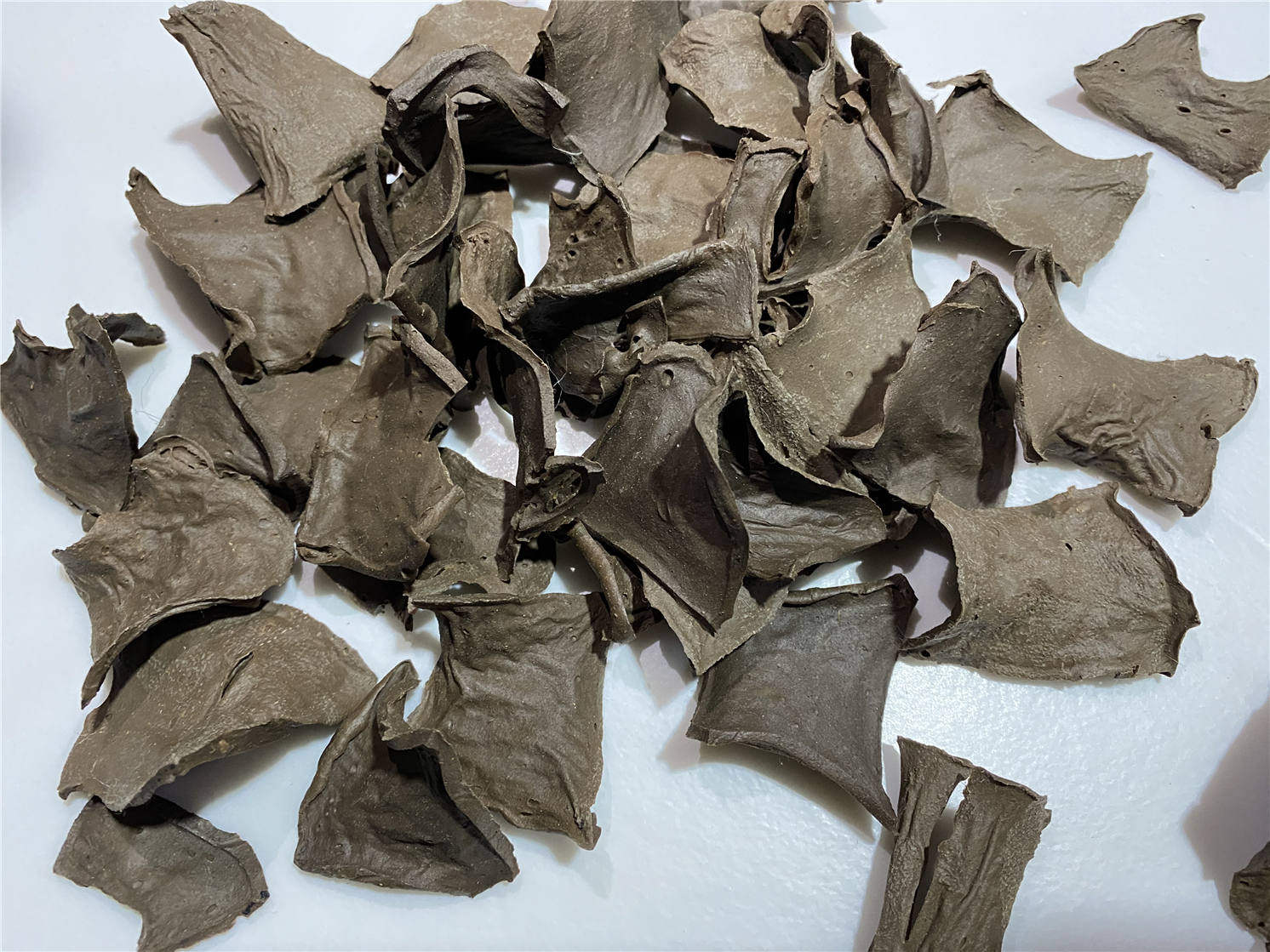 文成干货苦槠干苦株手工日晒野生采摘无添加150g其它干货