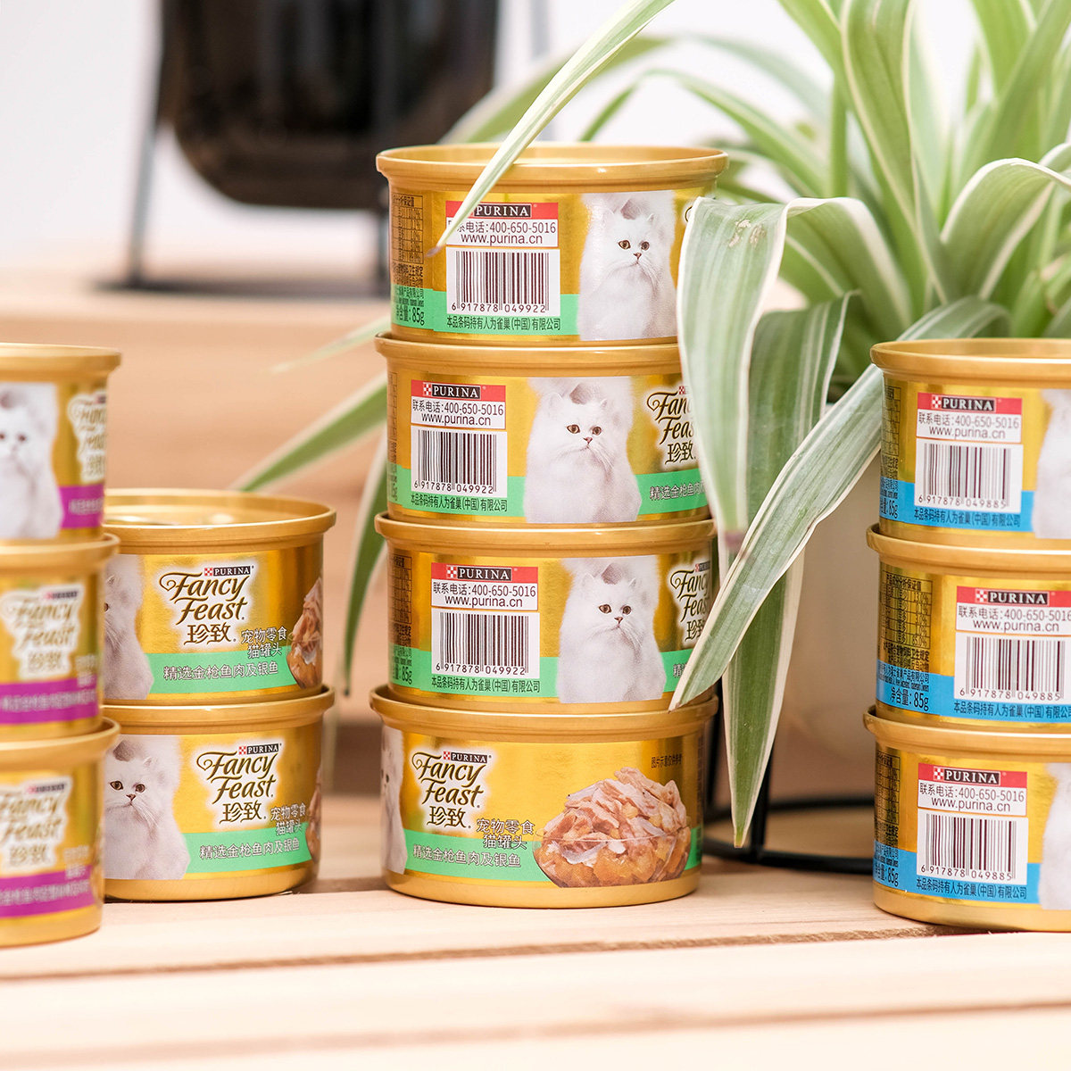 原装进口雀巢珍致罐头零食猫咪主食罐成幼湿营养猫零食罐