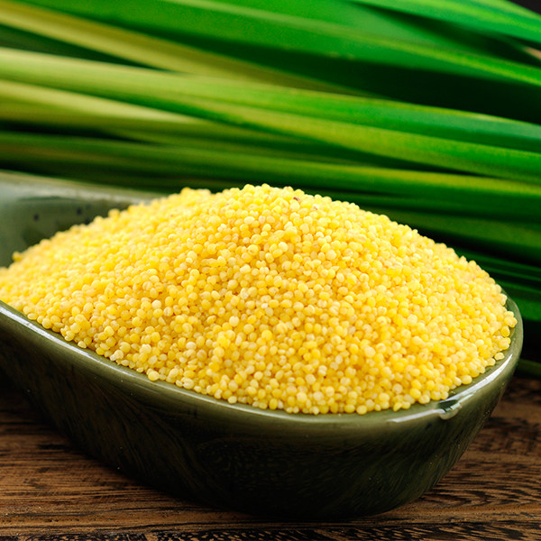 2500g汾阳瑞俪小米瑞丽25kg装包5斤山西特产小米