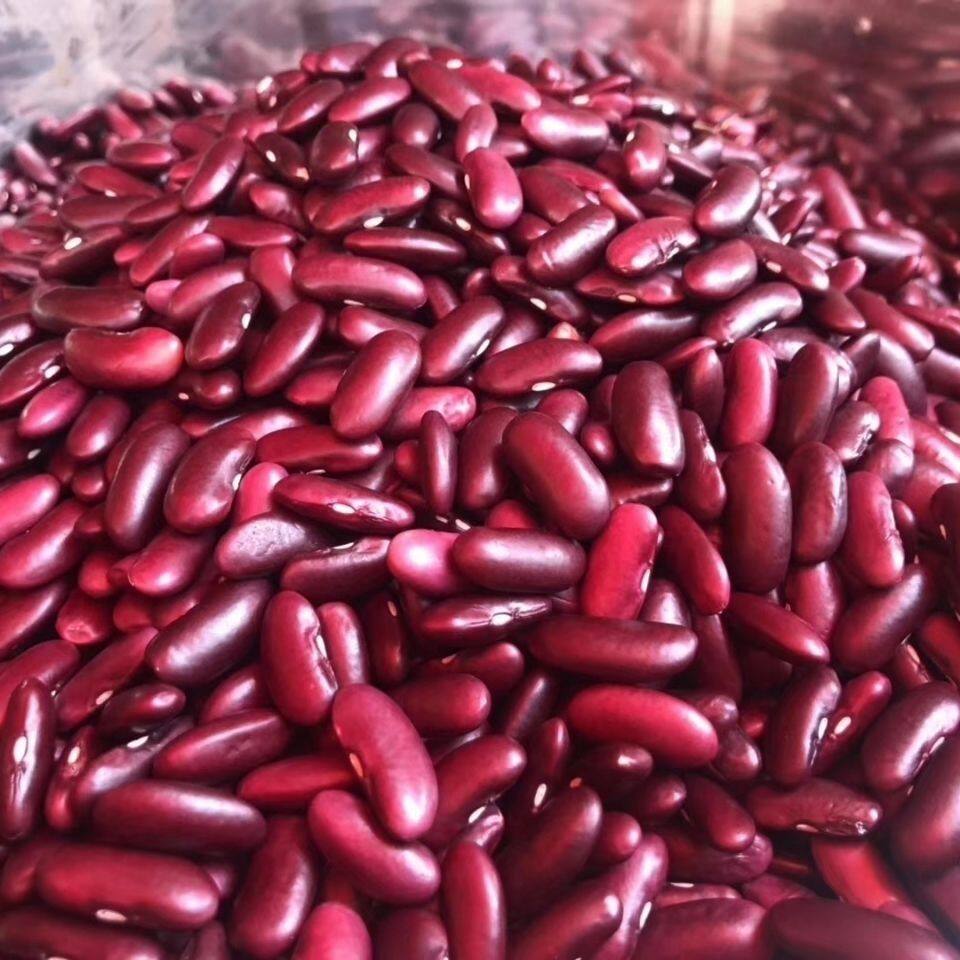 芸豆云南南大红豆红腰豆五谷杂粮豆做酸菜红豆5斤红豆