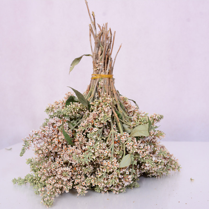 米饭黄花广西黄饭花饭黄香花黄色染料新鲜密蒙其它干货