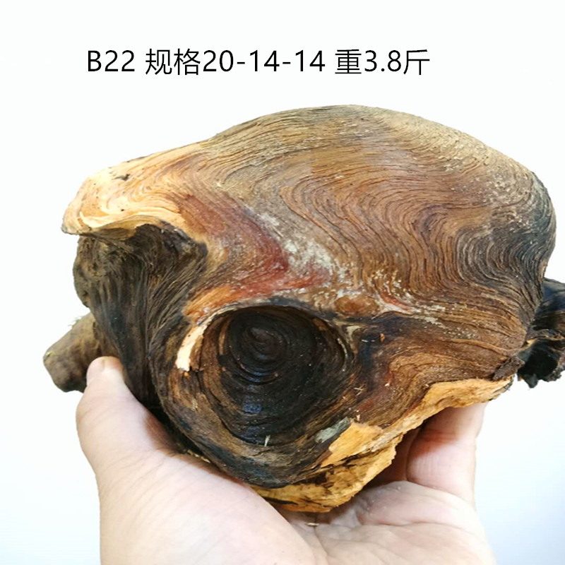 东北琥珀木原木料松明子手把件沉化老料北沉香手串枯木树根纯天然