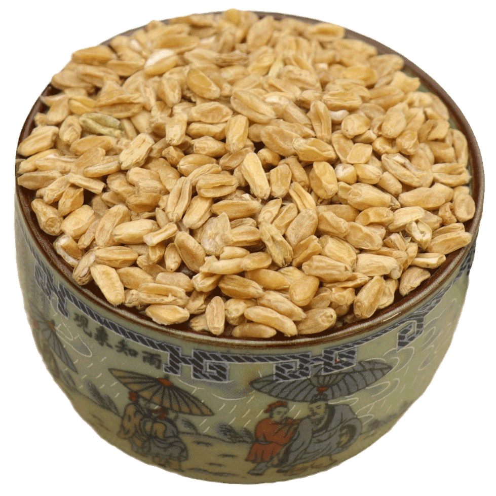 浮小麦中药材250g500克瘪小麦浮麦无硫浮小麦茶经方集