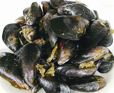 福建海产干货白晒大个淡菜海虹青口海鲜500克其它