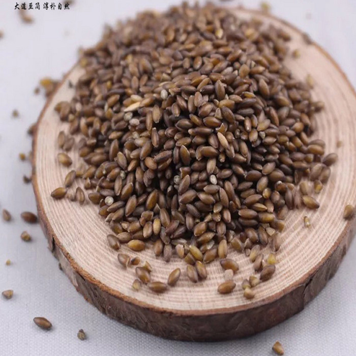 黑金谷米1斤500g血燕麦野生秦岭陕西正宗食用素食粥五谷杂粮养生