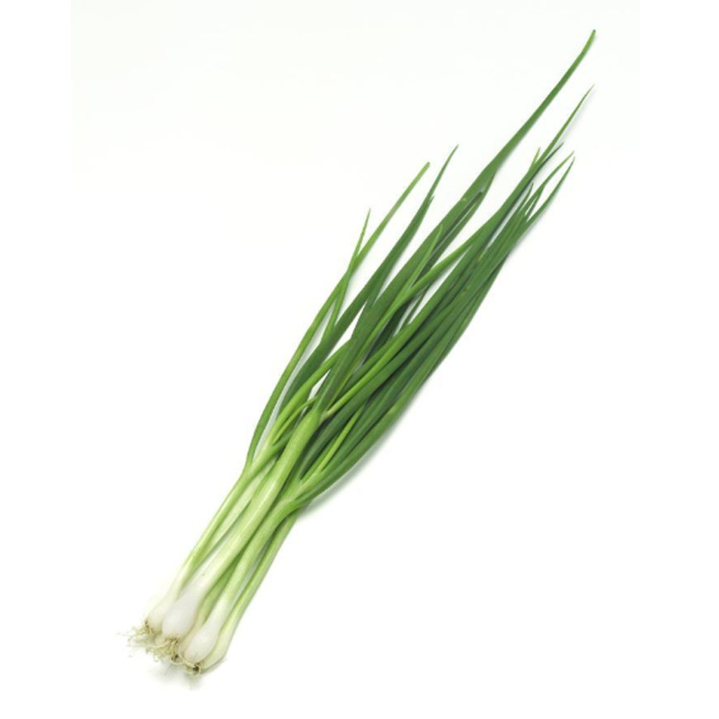 东北小葱新鲜包邮白露发芽葱蘸酱菜香葱农家其它