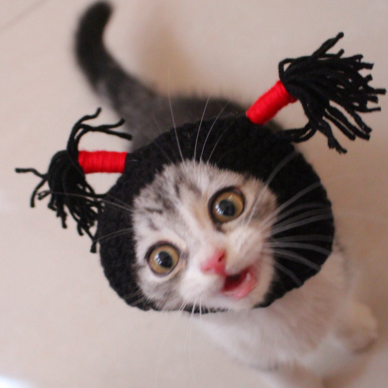 萌傻黑妞辫子猫咪帽子搞怪拍照美短折耳猫头饰帽子