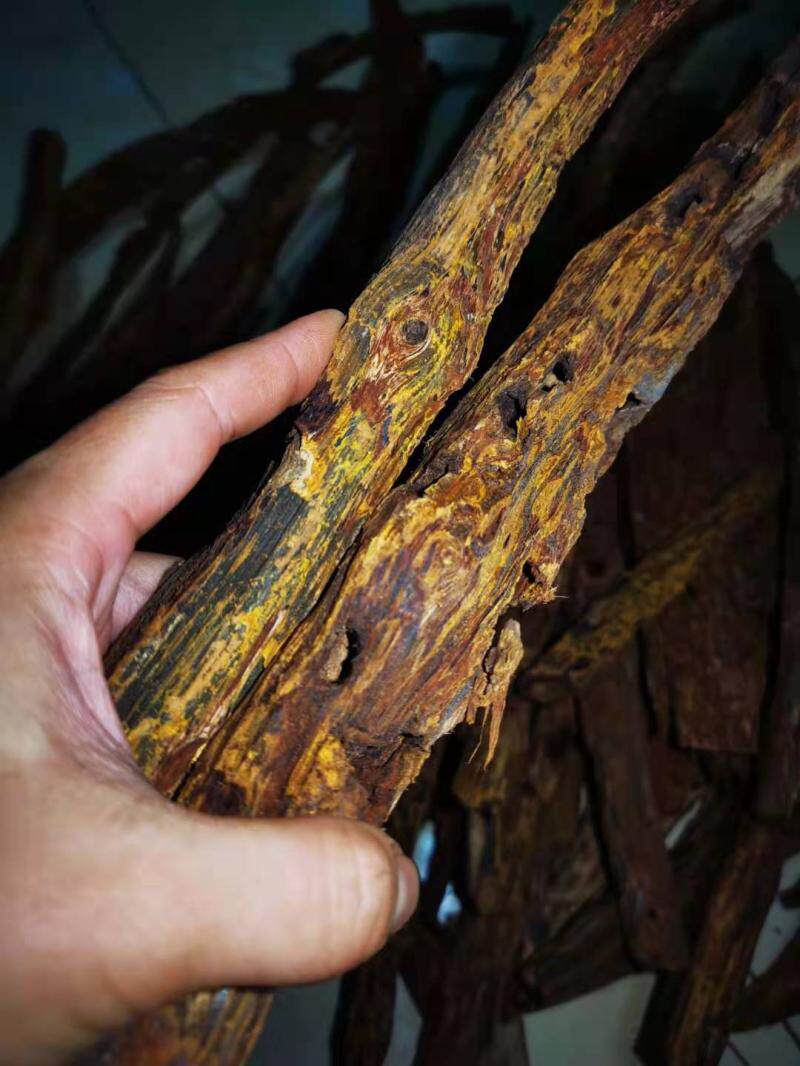 满壳黄金甲原材料正宗海南大叶降真香花香甜香如兰似麝满油