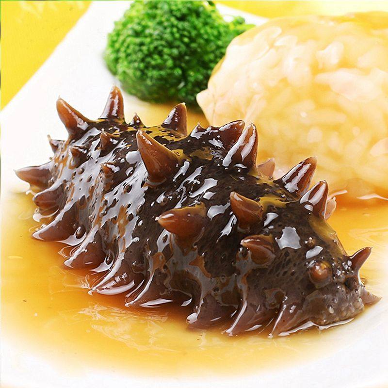 野生海参大连鲜活辽参单个装开袋即食海参孕妇滋补海参非海参干货