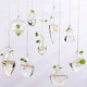 Creative suspended transparent glass vase small hanging bottle hydroe machine indoor gardening home decoration bottle plant set Creative suspended transparent glass vase small hanging bottle hydroe machine indoor gardening home decoration bottle plant set