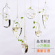 Creative suspended transparent glass vase small hanging bottle hydroe machine indoor gardening home decoration bottle plant set Creative suspended transparent glass vase small hanging bottle hydroe machine indoor gardening home decoration bottle plant set