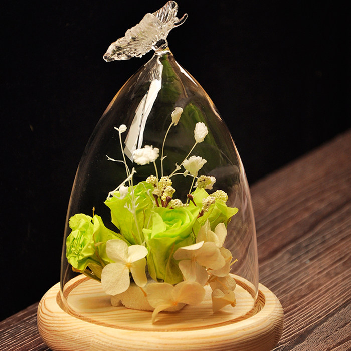 景观创意永生花透明摆件玻璃防尘罩送女友生日摆件