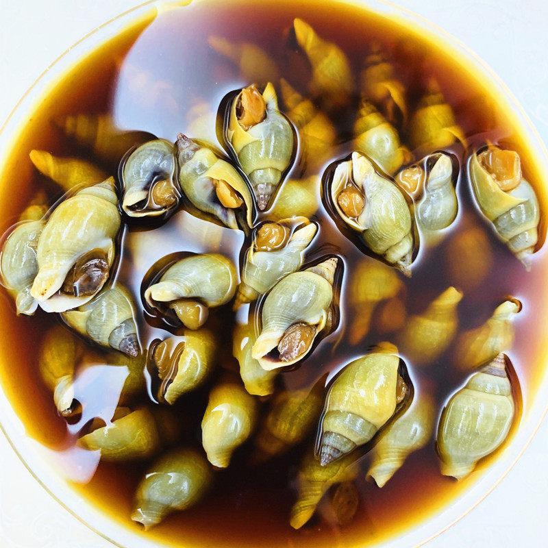 华和堂翡翠螺350克*36罐椒汁味淋青螺微辣小海螺即食酒店小海鲜