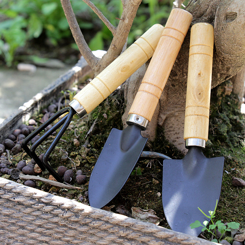 迷你多肉套装家用工具家工具园艺专用铁铲三件铲子