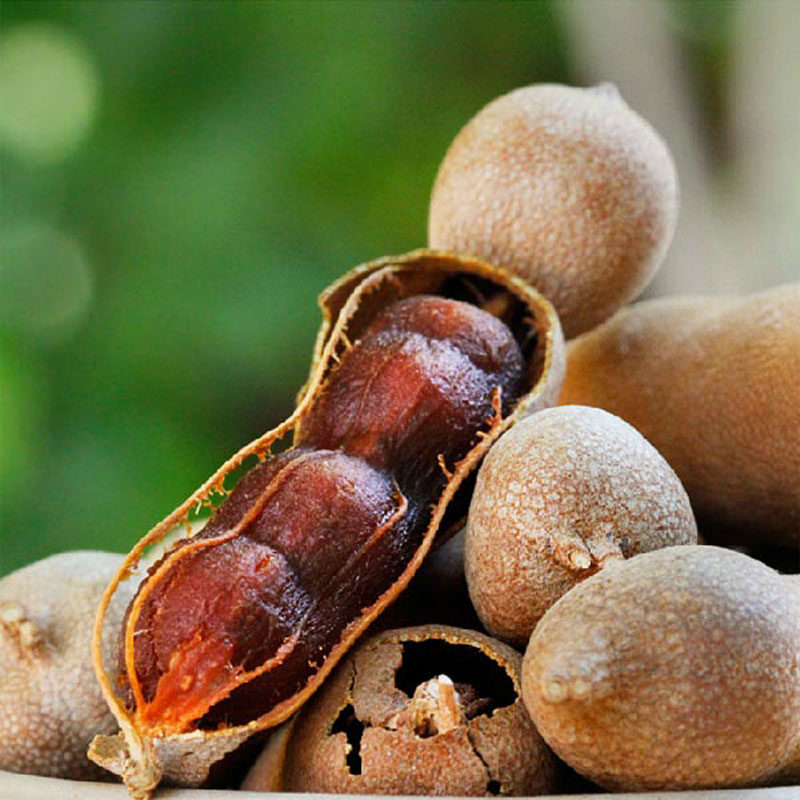 400g望子休闲散装孕妇豆角新鲜角罗甜酸特产酸枣糕