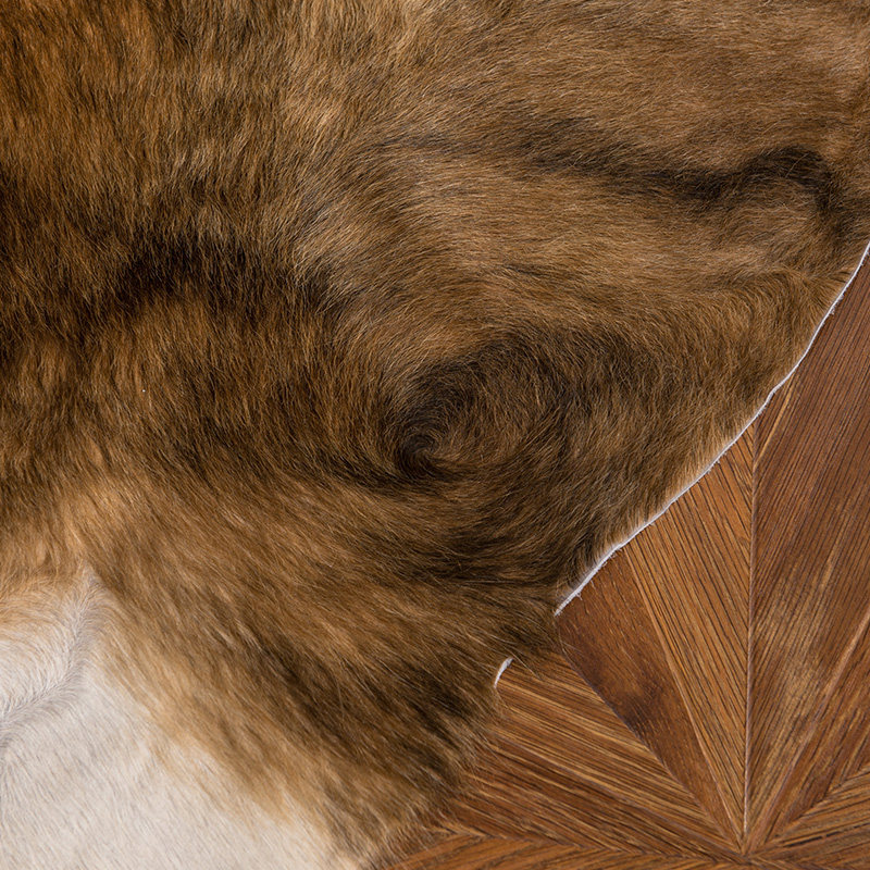 整张牛皮动物兽皮毛皮天然卧室客厅巴西进口奶牛真皮书房张皮地毯