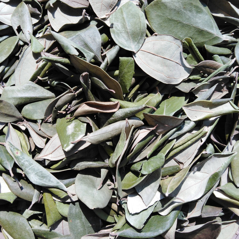 潮汕草药 野生桃金娘叶子 山捻子叶 岗稔叶 乌当尼叶 干货1斤包邮