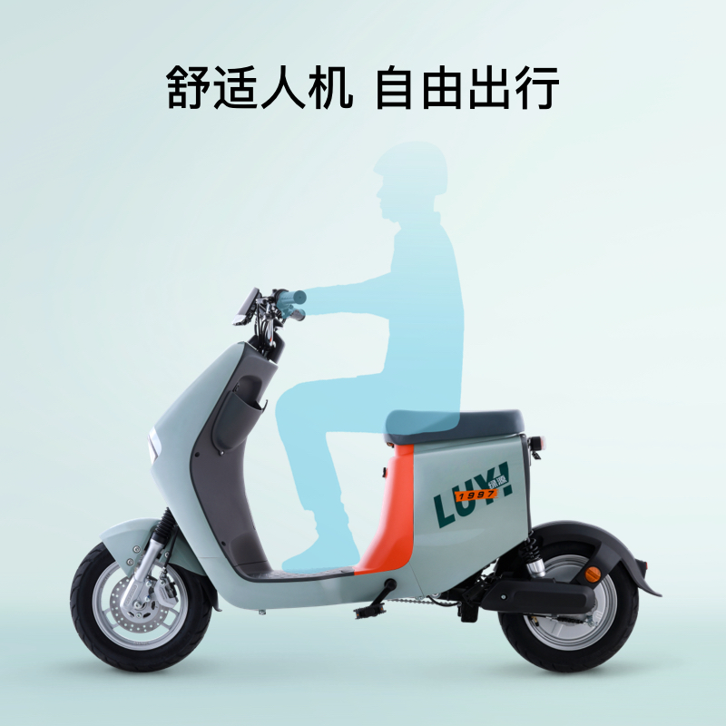 绿源48v24ah锂电池续航电动自行车zhh成人男女通勤电动自行车