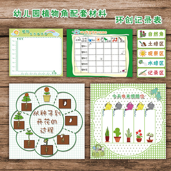 幼儿园区域环创自然角种植区配套装饰贴纸春天种子生长过程记录表