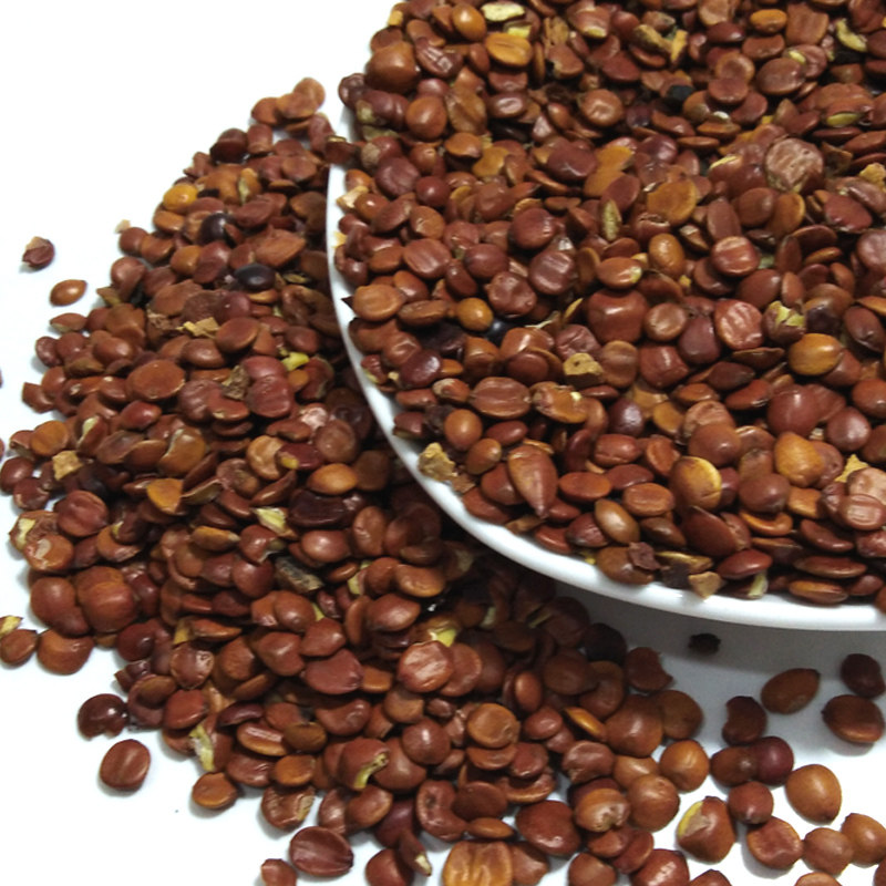 野生酸枣仁250克 炒酸枣仁真空袋装正宗 酸枣仁生酸枣仁1件包邮