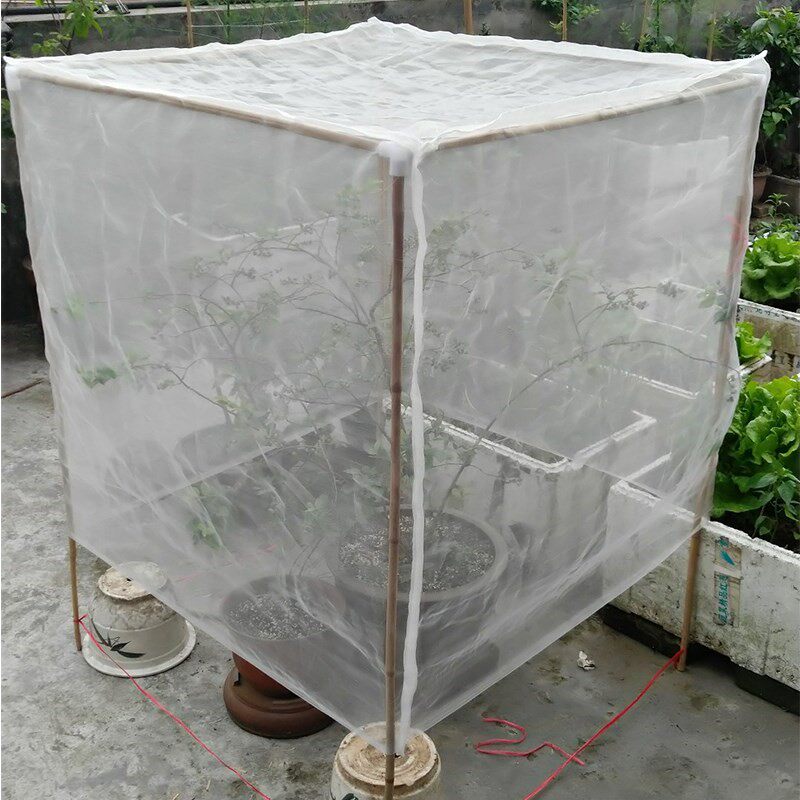 花花花果树水果育苗防虫网罩农用杨梅樱桃蚊帐其它园艺用品