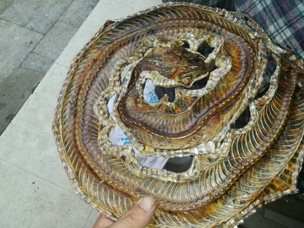 中药材蕲蛇100g克整条五步整条包邮泡酒料其他药食同源食品