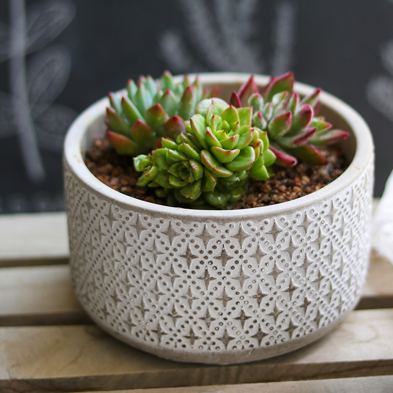 北欧水泥花盆透气种花植物多肉花器桌面阳台花盆