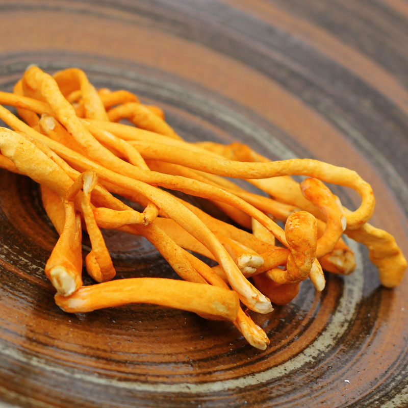 虫草新鲜500g菌菇菌类适合煲汤凉拌鲜品餐饮新鲜松茸