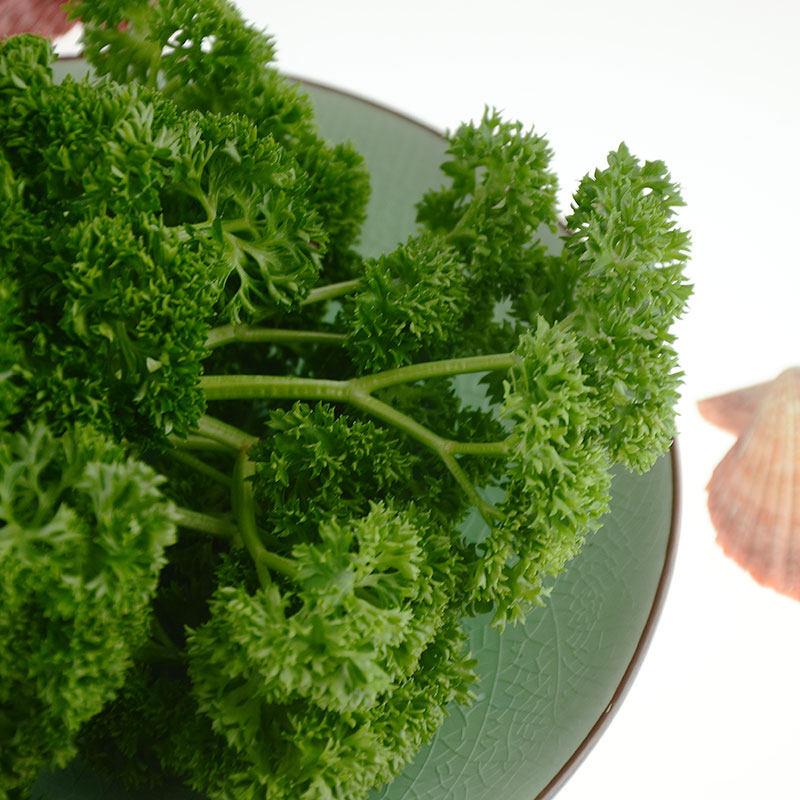 新鲜法国香菜荷兰芹250g 蔬菜香料摆盘装饰配色 江浙沪满69包邮