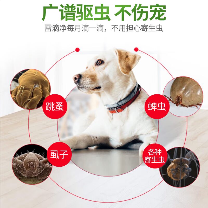 狗狗体外驱虫滴剂大型犬专用驱虫药狗去跳蚤除虱子蜱虫宠物犬用