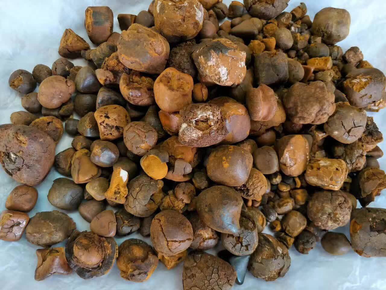 名贵中药材纯天然牛黄纯正正牛胆黄质量保证正品支持其他药食同源食品