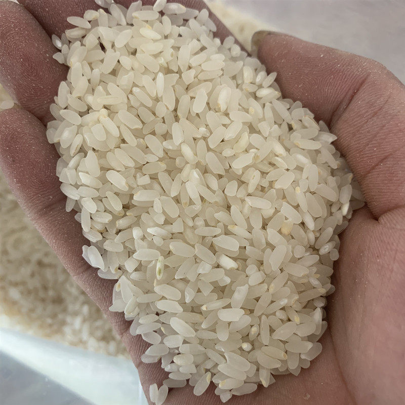大米浙江自种十斤长粒米新米农家非圆香米侬控米大米