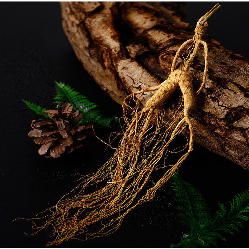 人参东北长白山野山林下20年野生山吉林野生泡酒山参