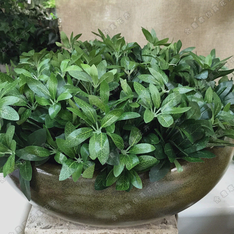 仿真汉草摄影装饰工程绿植diy叶罗植物辣椒仿真绿植