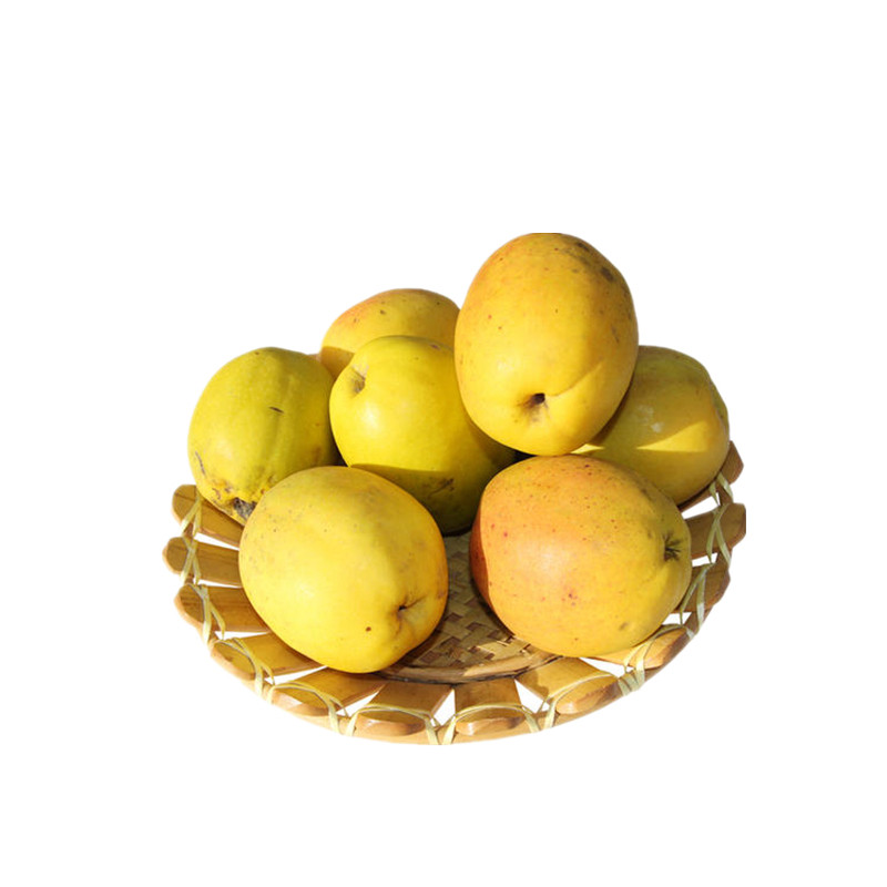 云南木瓜新鲜水果闻香泡酒泡水炖鸡孕妇酸辣木瓜