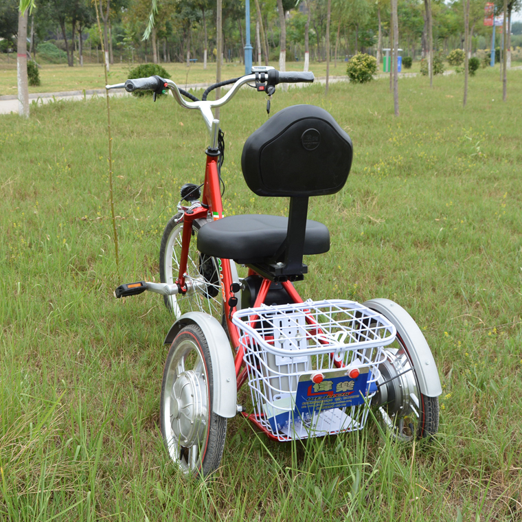 伟乐牌老人脚蹬两用三轮车中老年人小型代步车休闲自行车人力三轮