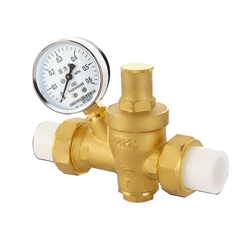 ppr20自来自来水水管减压阀家用稳压净水器热水器恒压其他阀门