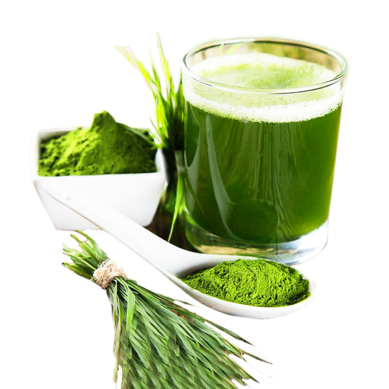 5斤装大麦若叶青汁青草草粉麦苗蚂蚁代餐农场天然粉粉食品