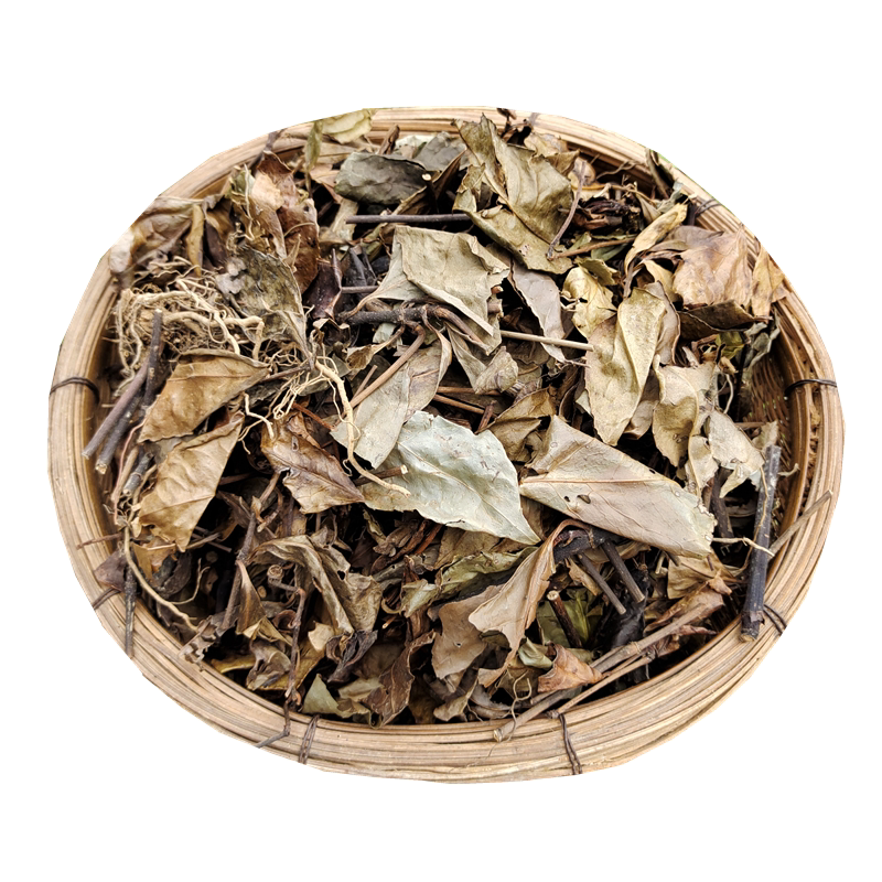 九节肿节草珊瑚接骨干货野生中药材500g包邮其他药食同源食品