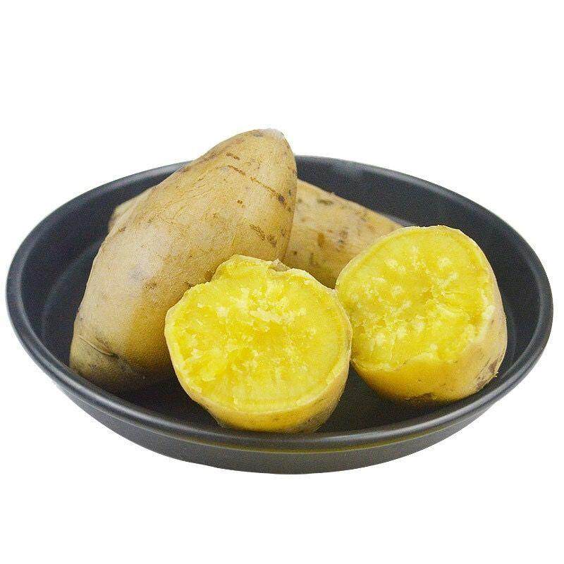 新鲜现挖白皮板栗薯超糖心黄心红薯黄瓤地瓜番薯