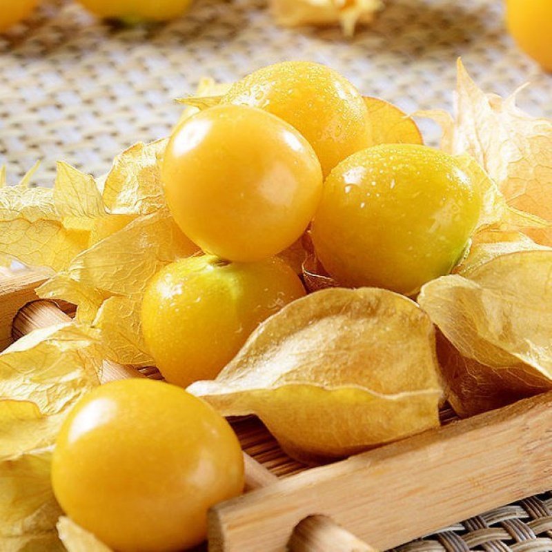 东北香菇娘果新鲜水果姑娘大果应季香甜灯笼果其它