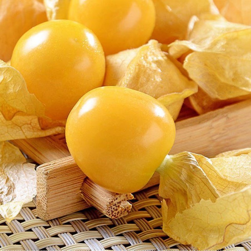 东北香菇娘果新鲜水果姑娘大果应季香甜灯笼果其它