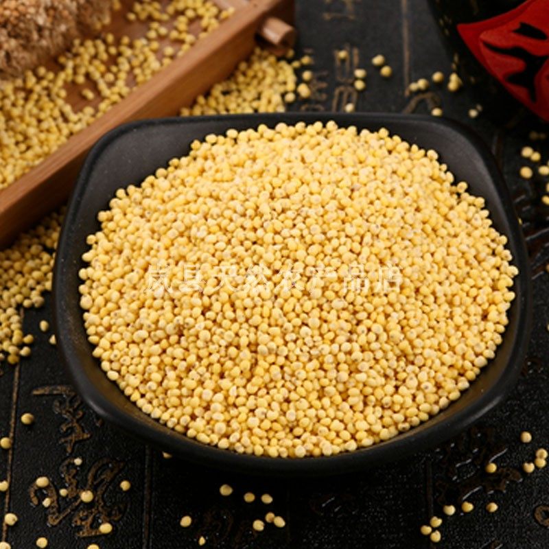 米黄山西大黄农家新米黏粘黄米黍米包粽子糯小糯米