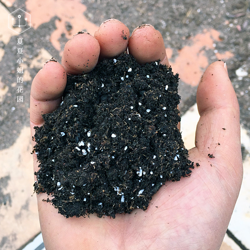 土种夏夏花店y04越西泥炭草炭有机营养种花家庭园艺肥料