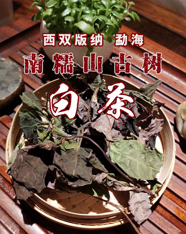 南糯山古树普洱白茶2020年头云南西双版纳勐海散茶包普洱