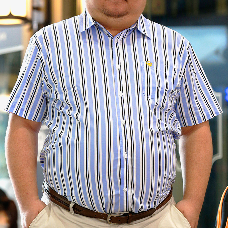 为熊设计纯棉肥大码胖熊爪刺绣彩色方格条纹衬衫