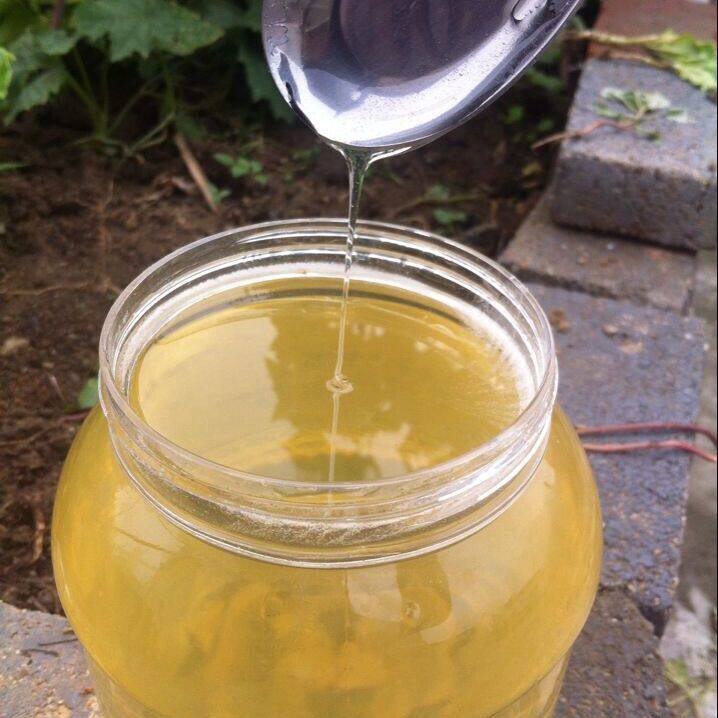 食用农产品自产天然野生洋槐花蜂蜜 洋槐蜜 刺槐蜜 2斤装大瓶